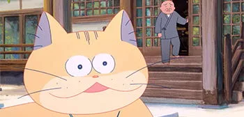 Furious Feline Fun in ‘Ghost Cat Anzu’ Animated Comedy!