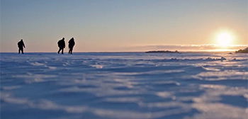 Surviving the Unknown: Braving the Ferocious Alaskan Wilderness