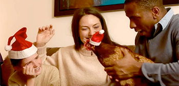 Wings of Joy: A Fowl Comedy for the Holidays