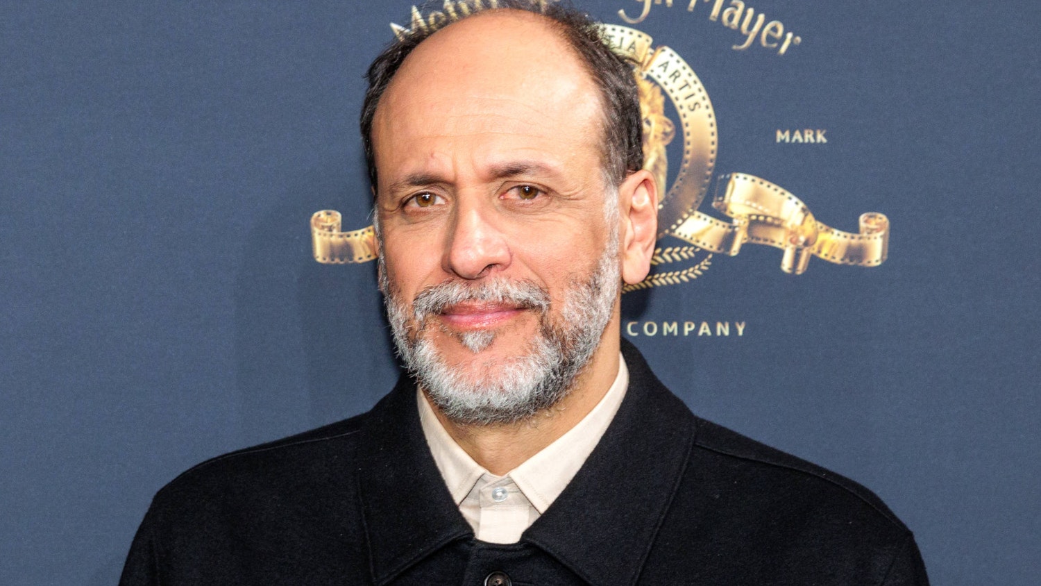 DC Studios Pulls Luca Guadagnino Sgt. Rock Movie