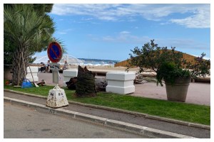 Producer Injured By Falling Palm Tree On Croisette In Cannes
