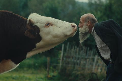 Karlovy Vary Film Festival unveils 2025 official selection | News
