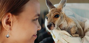 Official Trailer for Cheesy Fun ‘Kangaroo’ Rescue Movie from Australia