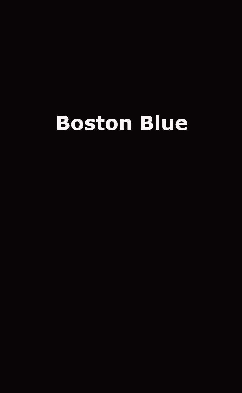 Fresh ‘Boston Blue’ Trailer Brings Donnie Wahlberg Back to the ‘Blue Bloods’ Universe