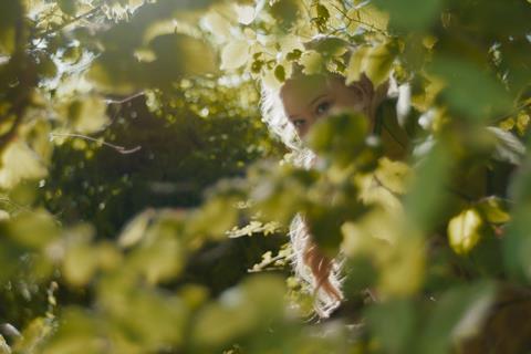 UK-Ireland box office preview: ‘The Magic Faraway Tree’ swings into 700 cinemas | News UK-Ireland box office preview: ‘The Magic Faraway Tree’ swings into 700 cinemas | News