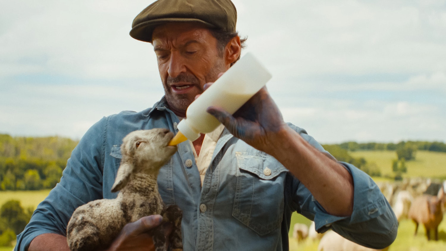 Hugh Jackman’s The Sheep Detectives Is ‘Knives Out Meets Babe’ Hugh Jackman’s The Sheep Detectives Is ‘Knives Out Meets Babe’