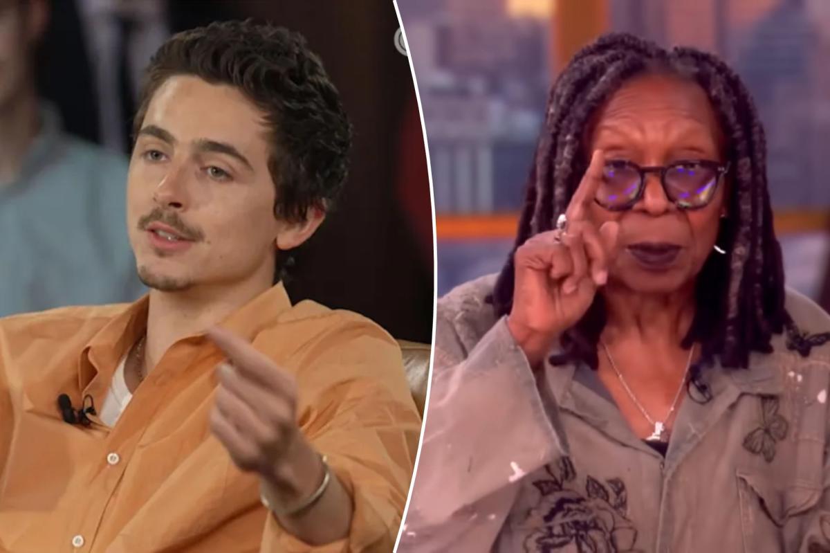People railing at Timothée Chalamet over his correct opera and ballet remarks are more attention starved than he is