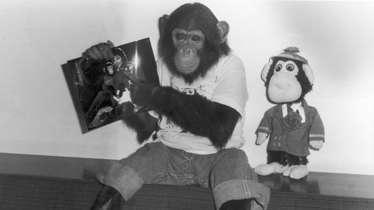 What Happened to Bubbles, Michael Jackson’s Pet Chimpanzee?