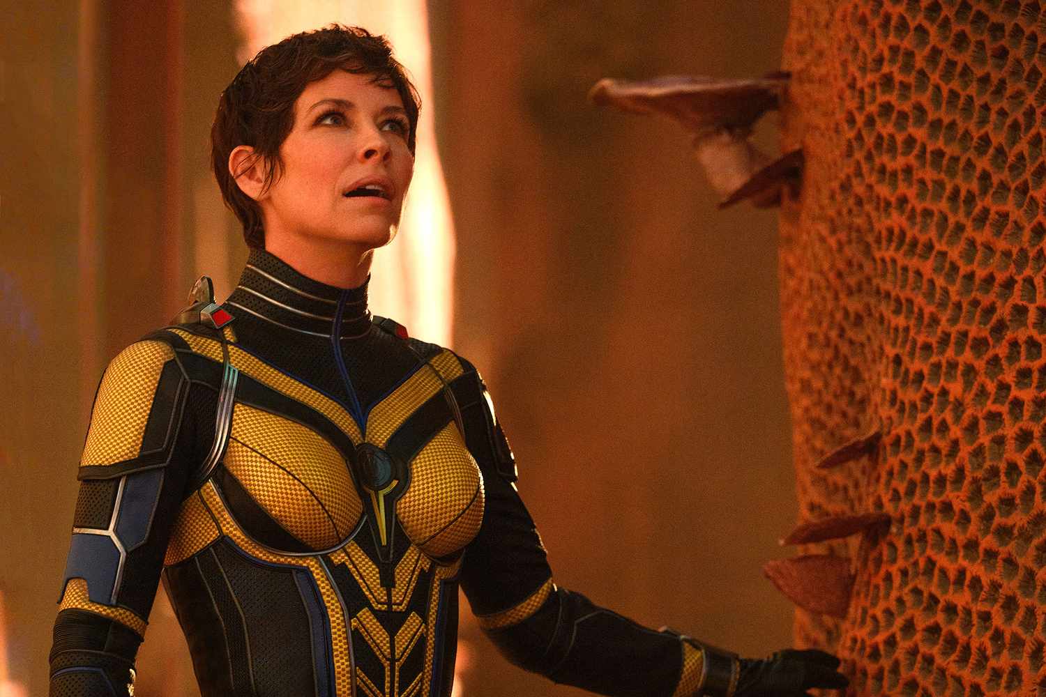 ‘Avengers’ star Evangeline Lilly slams Disney for Marvel layoffs: ‘Disgusting and horrible’ ‘Avengers’ star Evangeline Lilly slams Disney for Marvel layoffs: ‘Disgusting and horrible’
