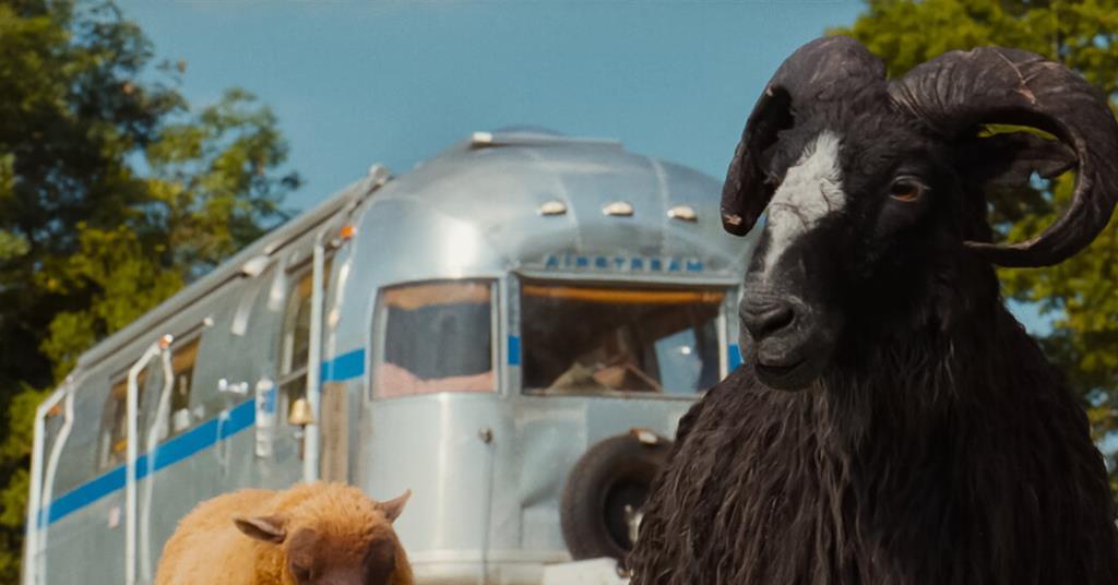 UK-Ireland box office preview: ‘The Sheep Detectives’ head into 654 cinemas | News UK-Ireland box office preview: ‘The Sheep Detectives’ head into 654 cinemas | News