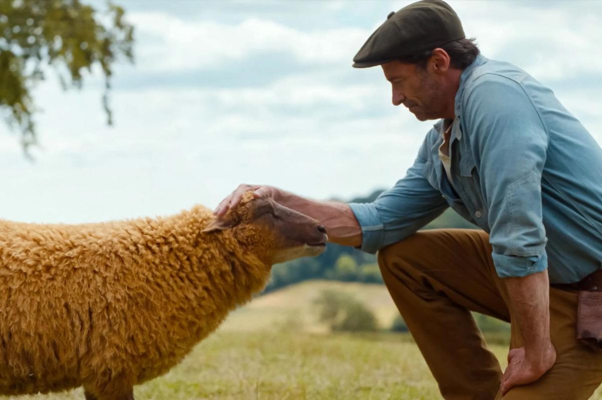 How to watch ‘The Sheep Detectives’ for free on Prime Video How to watch ‘The Sheep Detectives’ for free on Prime Video