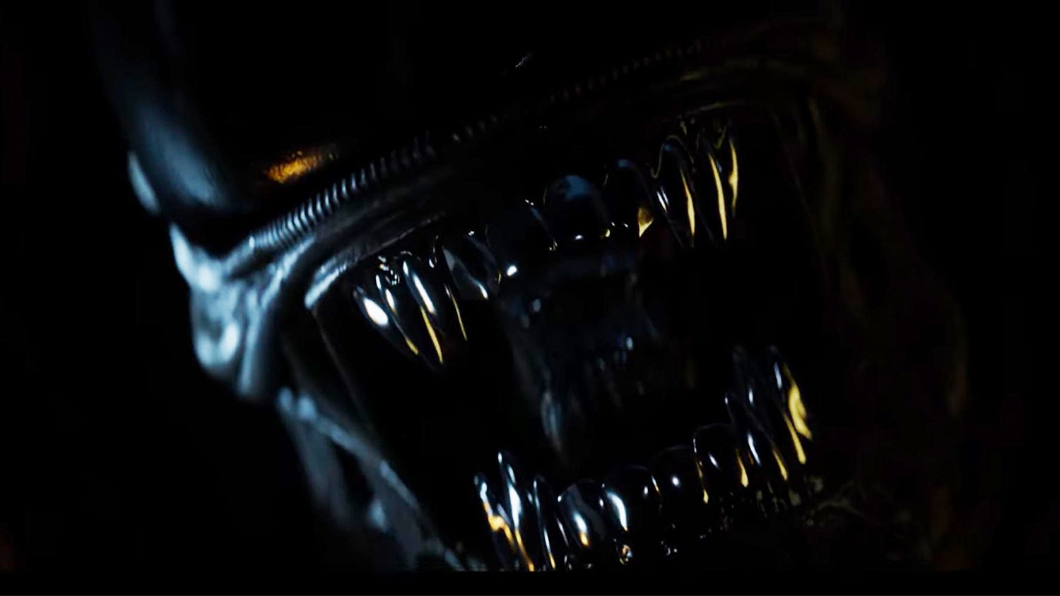 Isolation 2 Trailer Brings Fresh Galactic Terror Isolation 2 Trailer Brings Fresh Galactic Terror