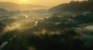 ‘Bandit,’ ‘The Last Place On Earth’ Triumph As Dances With Films: LA Presents Awards – Full List ‘Bandit,’ ‘The Last Place On Earth’ Triumph As Dances With Films: LA Presents Awards – Full List