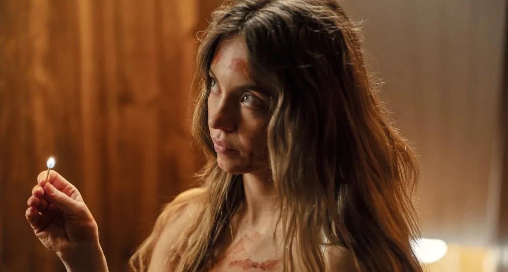 ‘The Housemaid’ trailer, ‘The Roses’ top BBFC’s 2025 complaints list | News ‘The Housemaid’ trailer, ‘The Roses’ top BBFC’s 2025 complaints list | News