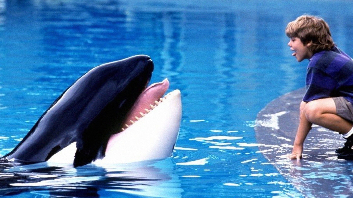 Free Willy Set For A Comeback With Russo Brothers Reboot Free Willy Set For A Comeback With Russo Brothers Reboot